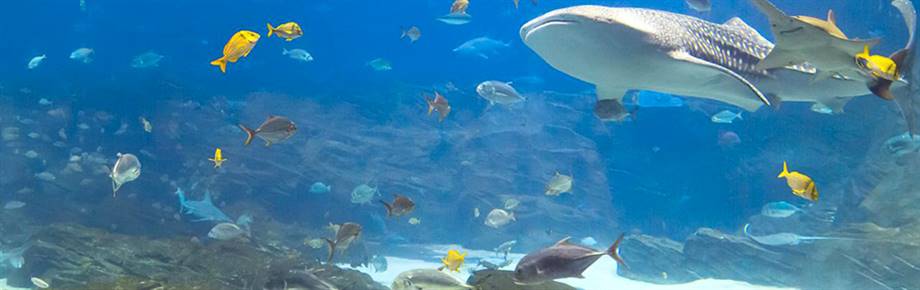 Cheshire Oaks or Blue Planet